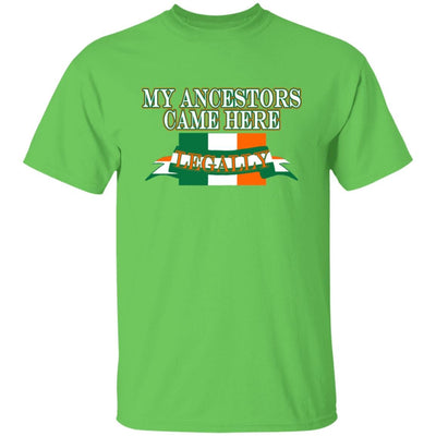 Legal Irish Ancestry T-Shirt